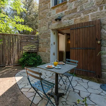 Apartment Gite Nicoli4 Spa Partage San-Gavino-di-Carbini